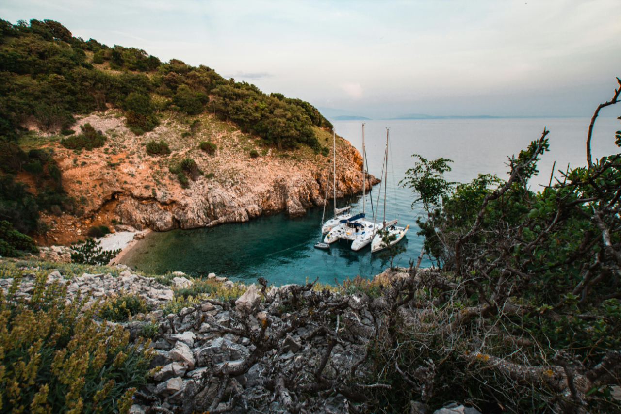 sailing-school-catamaran.jpg