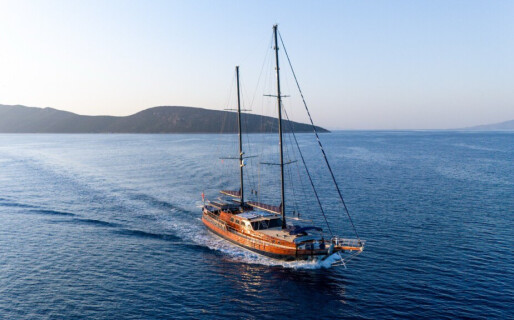 Capricorn 1, Capricorn 1