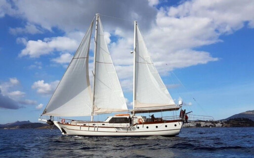 Elifim 11, Elifim 11 