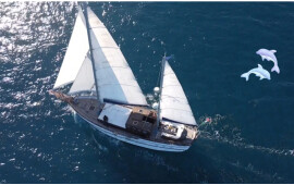 Goletta 20, Oasis