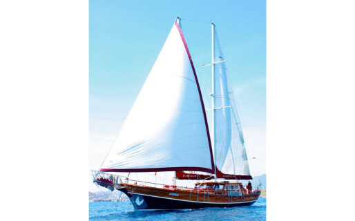 Il Fratello, Il Fratello