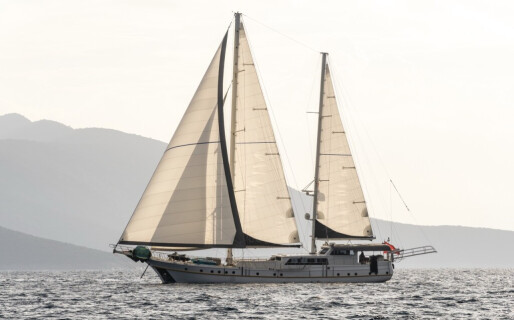 Lucky You, Lucky You