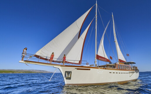 M/S Morning Star, Morning Star