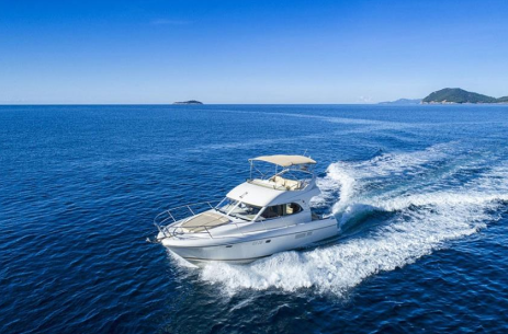 Prestige 36 NN