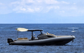 PY10.0 Cabin, Black Shark