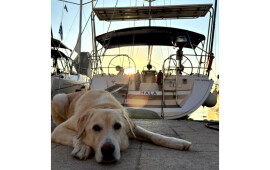 Sun Odyssey 45, Nala