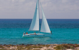 Sun Odyssey 479, Phat Dolphin